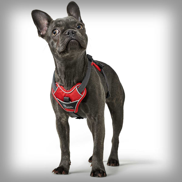 HUNTER BRUSTGESCHIRR DIVO