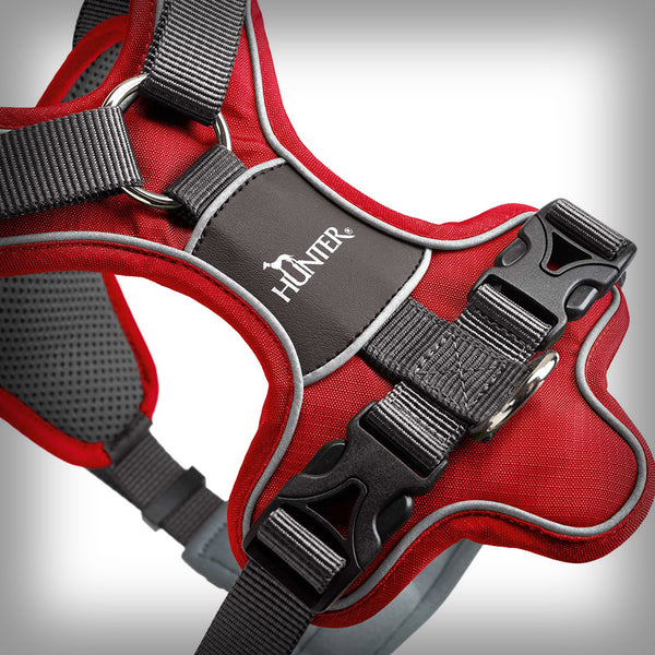 HUNTER BRUSTGESCHIRR DIVO