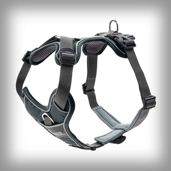 HUNTER BRUSTGESCHIRR DIVO