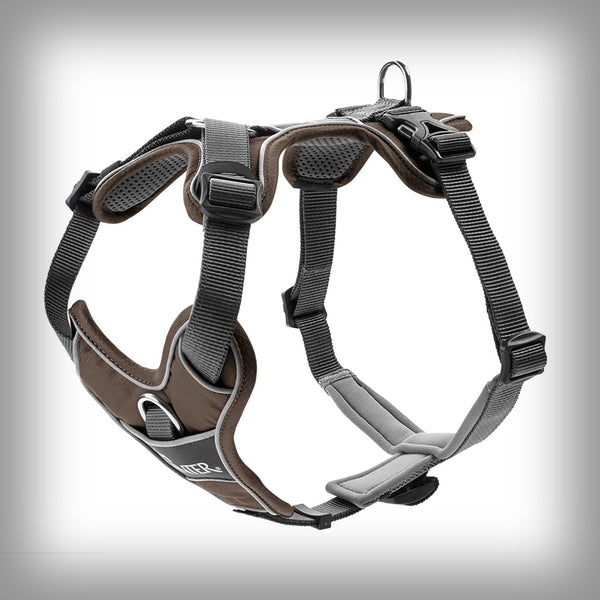 HUNTER BRUSTGESCHIRR DIVO