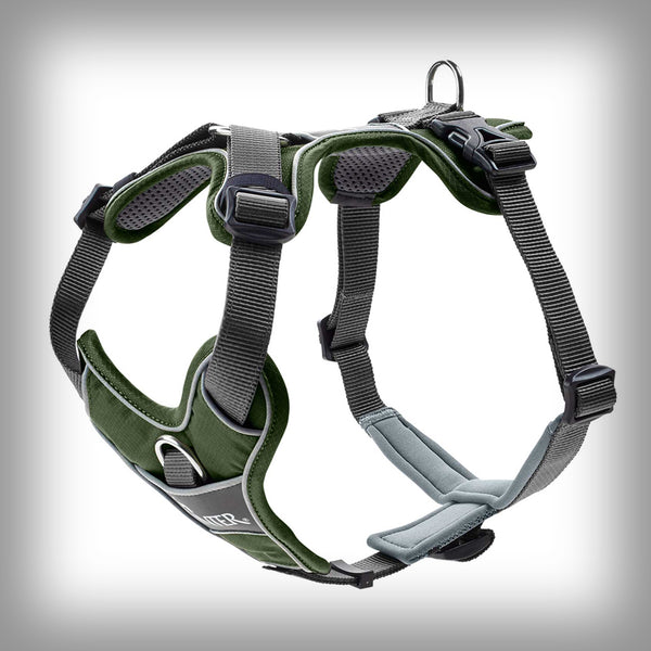 HUNTER BRUSTGESCHIRR DIVO