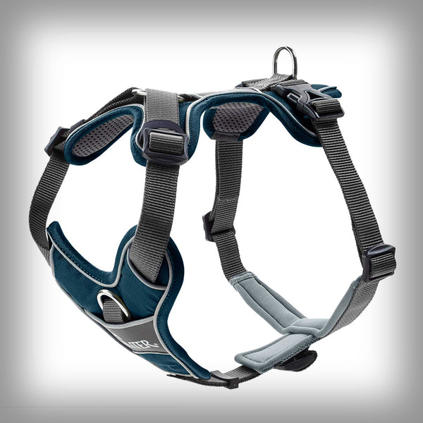 HUNTER BRUSTGESCHIRR DIVO