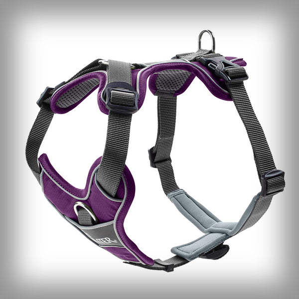 HUNTER BRUSTGESCHIRR DIVO