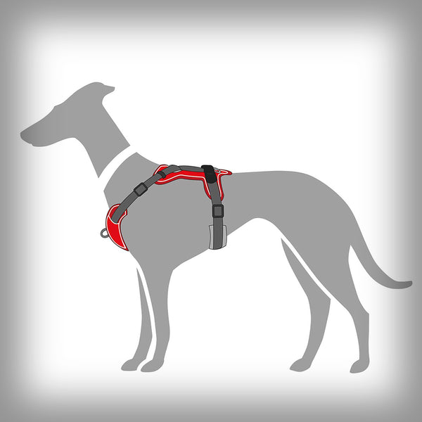 HUNTER BRUSTGESCHIRR DIVO