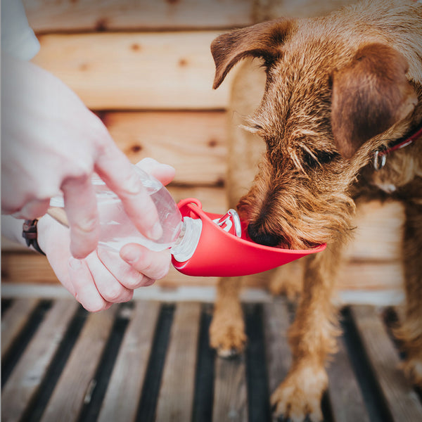 OUTDOOR TRINKFLASCHE LIST 550ML