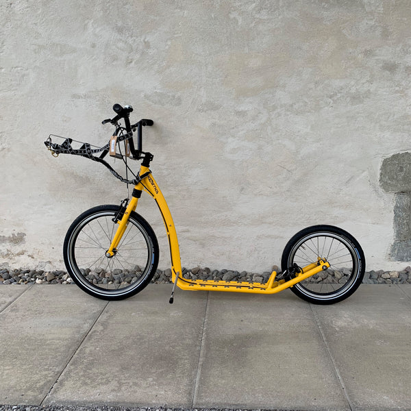 HILL MAX DOG SHOWROOM-EINZELSTÜCK