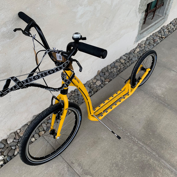 HILL MAX DOG SHOWROOM-EINZELSTÜCK