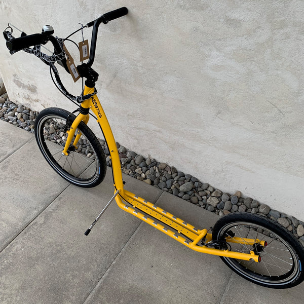 HILL MAX DOG SHOWROOM-EINZELSTÜCK