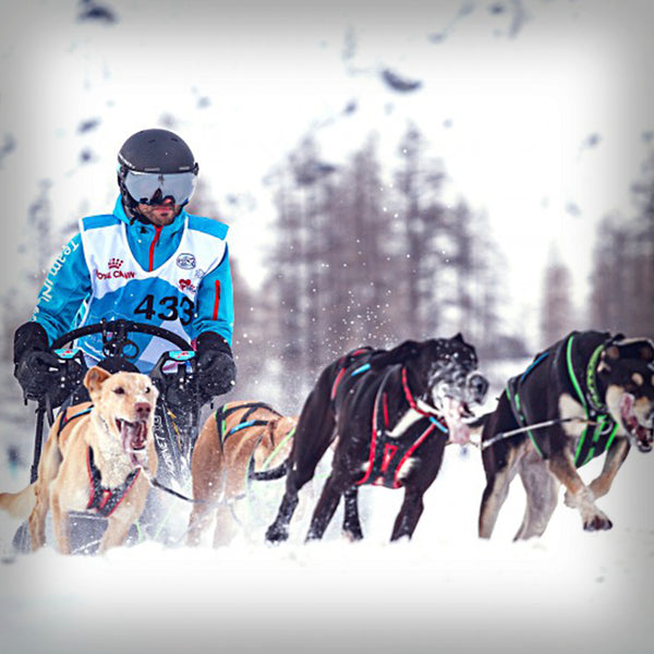 SOFTSHELL JACKE INLANDSIS