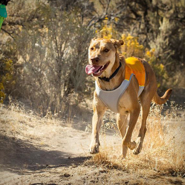 KÜHLWESTE JET STREAM