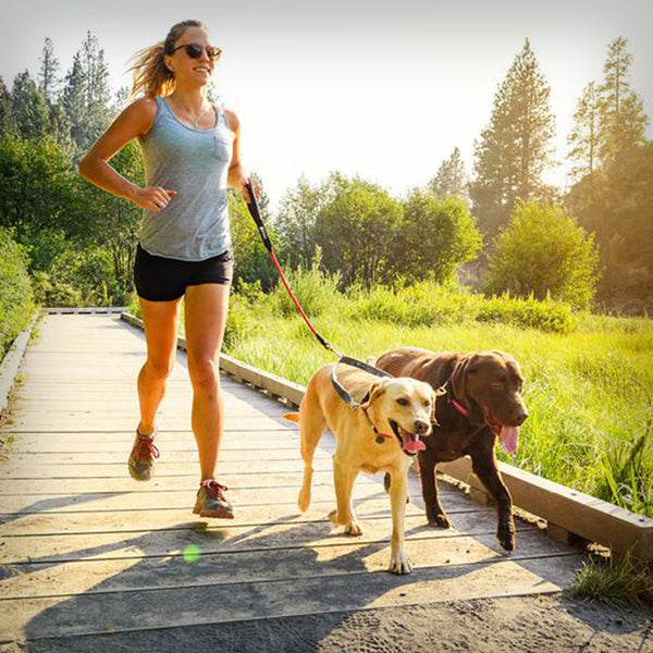 LEINE KNOT-A-LONG 0.76M