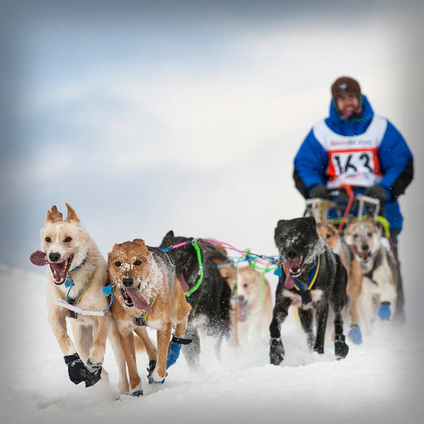 KIPMIK BOOTIES VELCRO AUS ALASKA