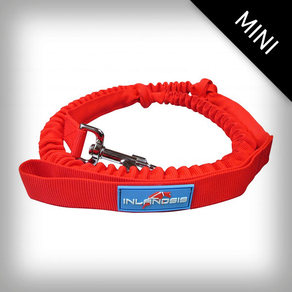 JÖRINGLEINE FÜR 1-HUND MINI