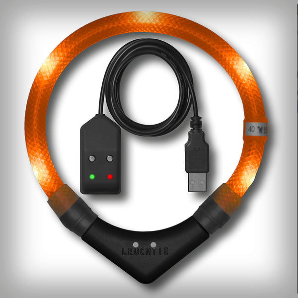 LEUCHTI PRO EASY CHARGE- gehört zu den professionellsten Hundeleuchten welche es auf dem Markt gibt. Die äusserst stabile Verarbeitung garantiert eine lange Lebensdauer. Dies sind die Vorteile der Leuchten: