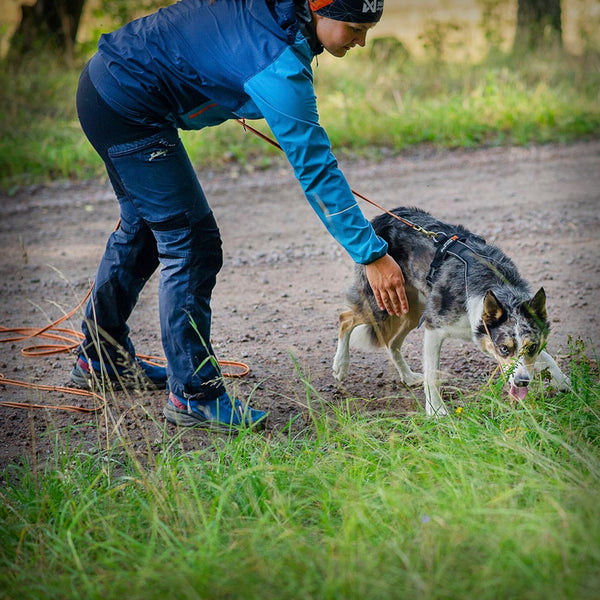NON-STOP LINE HARNESS 5.0