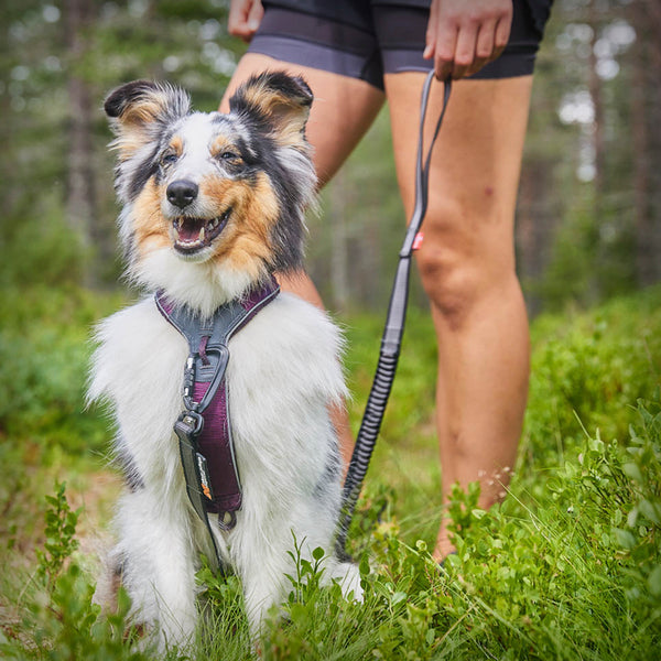 NON-STOP LINE HARNESS 5.0