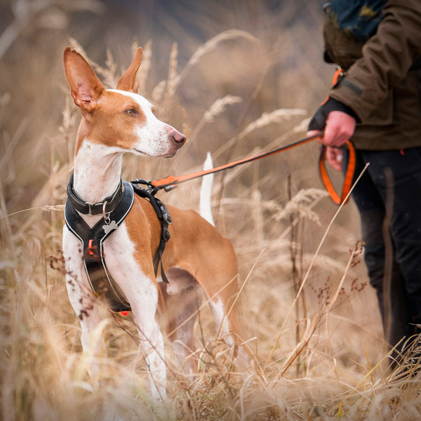 NON-STOP LINE HARNESS GRIP