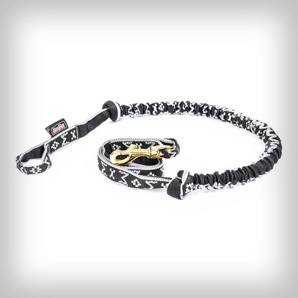 JÖRINGLEINE FÜR 1-HUND