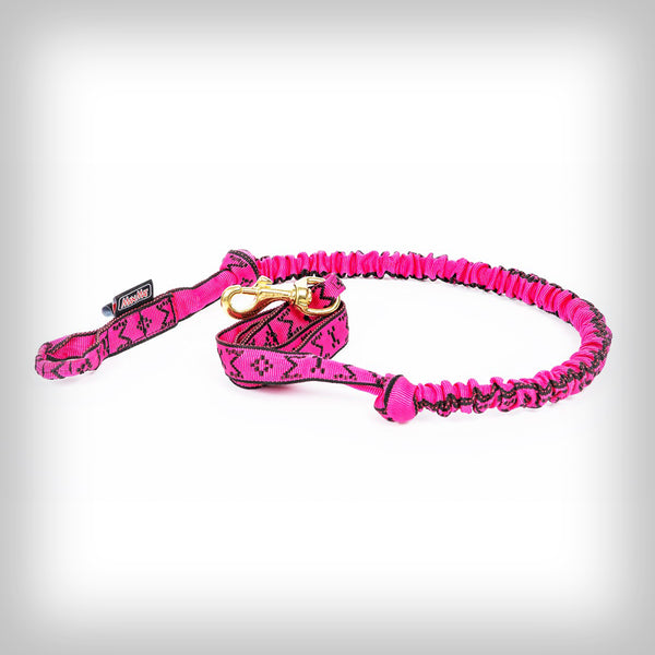 JÖRINGLEINE FÜR 1-HUND