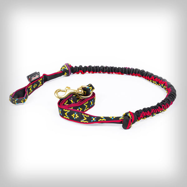 JÖRINGLEINE FÜR 1-HUND