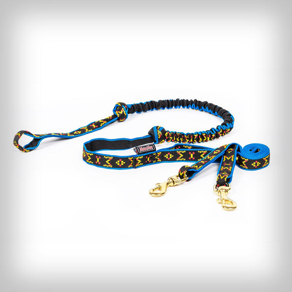 JÖRINGLEINE FÜR 2-HUNDE