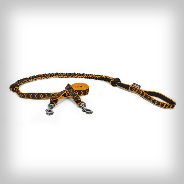 JÖRINGLEINE FÜR 2-HUNDE