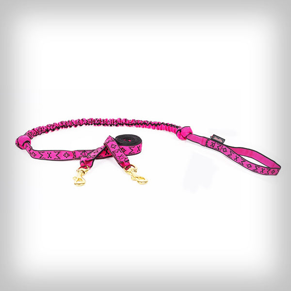 JÖRINGLEINE FÜR 2-HUNDE