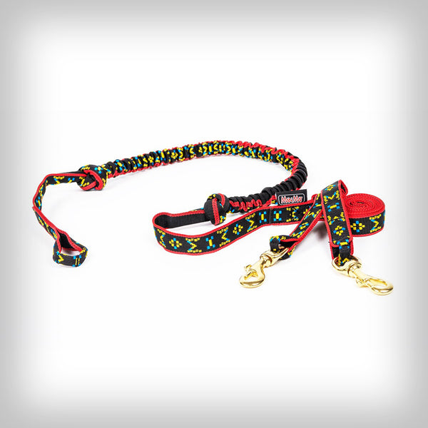 JÖRINGLEINE FÜR 2-HUNDE