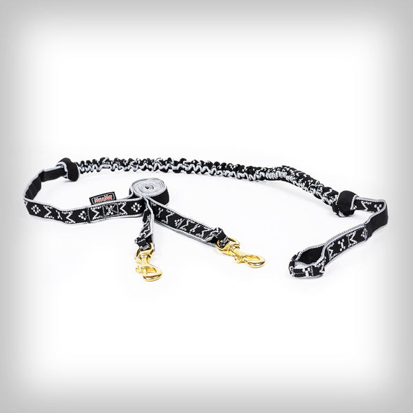 JÖRINGLEINE FÜR 2-HUNDE