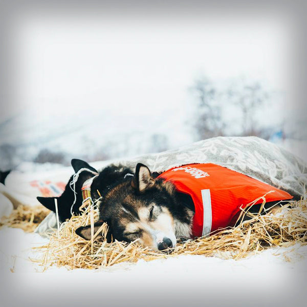 NON-STOP LONG DISTANCE JACKET