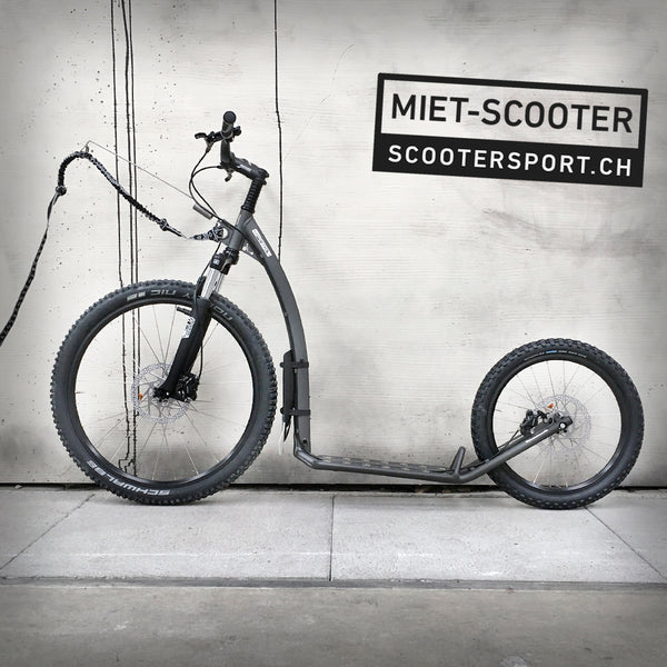 MIETE WOCHENENDE MUSHING MAX