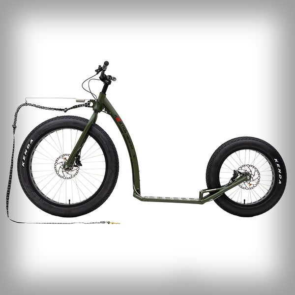 KOSTKA MONSTER MAX DOG (G6)