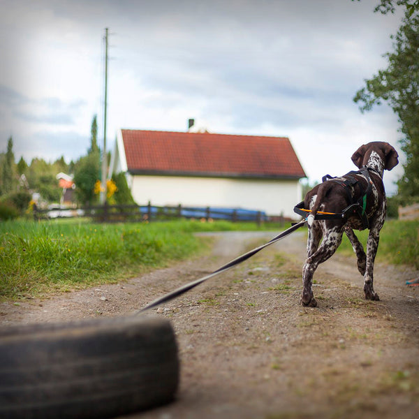 NANSEN STICK ZUGGESCHIRR