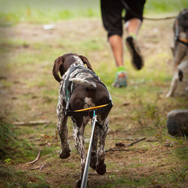 NANSEN STICK ZUGGESCHIRR