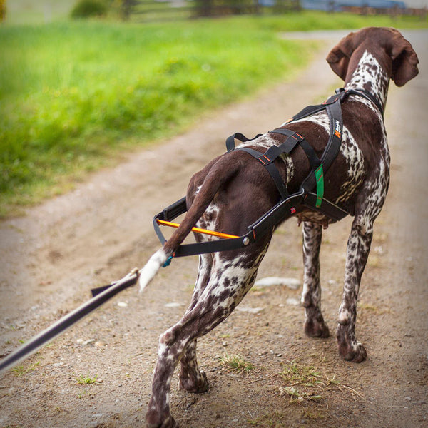 NANSEN STICK ZUGGESCHIRR