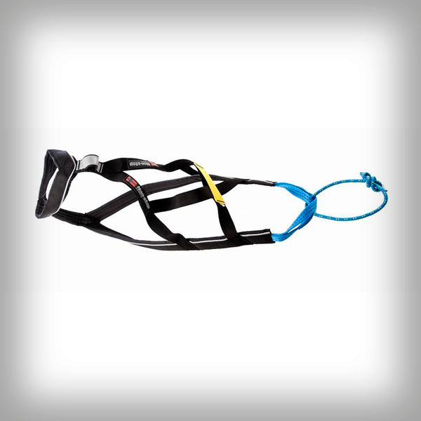 NANSEN NOME ZUGGESCHIRR