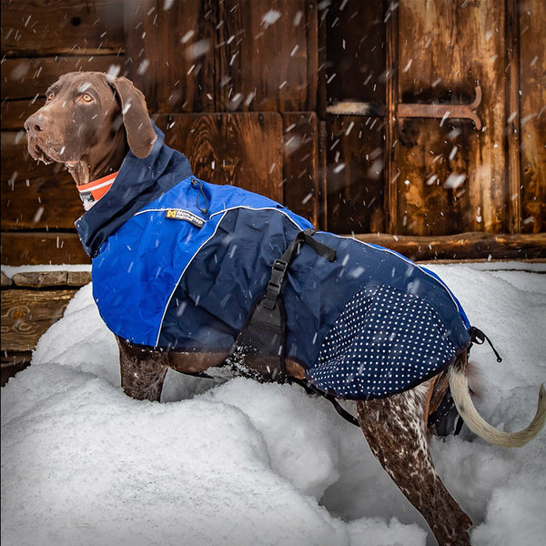 NON-STOP BETA PRO RAINCOAT- Dieser Beta Pro Raincoat hält deinen Hund mit einer Wassersäule von 15`000mm auch an regnerischen Tagen warm und trocken. Die einfachen Verstellmöglichkeiten um Hals und hinteren Rücken durch einen Gummizug ermöglichen eine optimale Passform. Mit der verstellbaren Brustschnalle kann die Jacke einfach an- und ausgezogen werden.