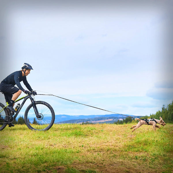 ZUGGESCHIRR FREEMOTION