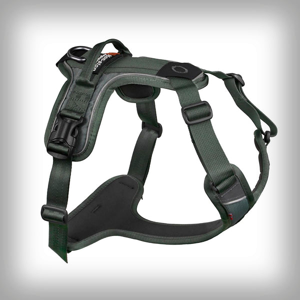 RAMBLE HARNESS