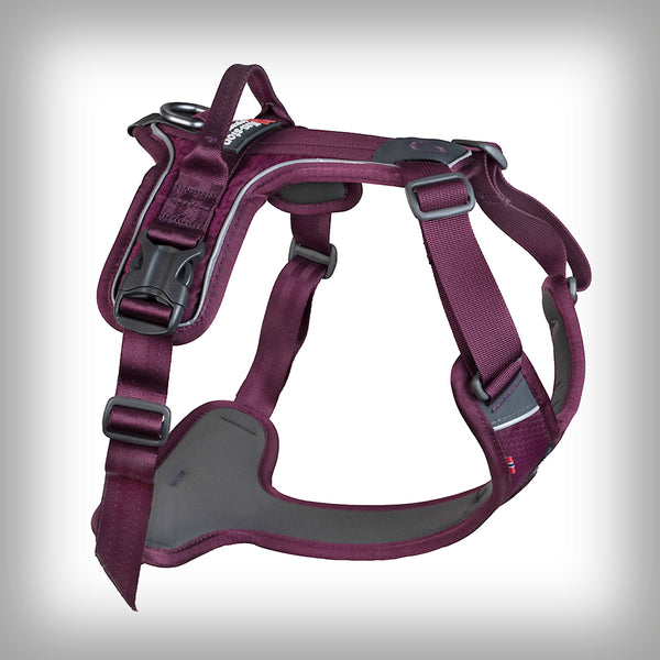 RAMBLE HARNESS