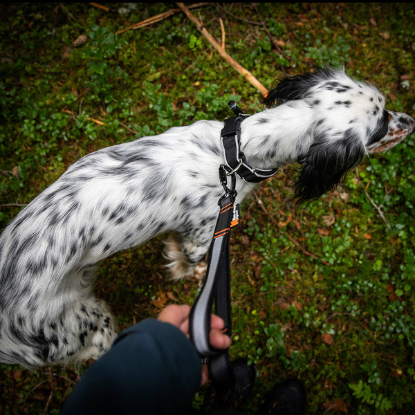 NON-STOP BUNGEE TOURING ADJUSTABLE