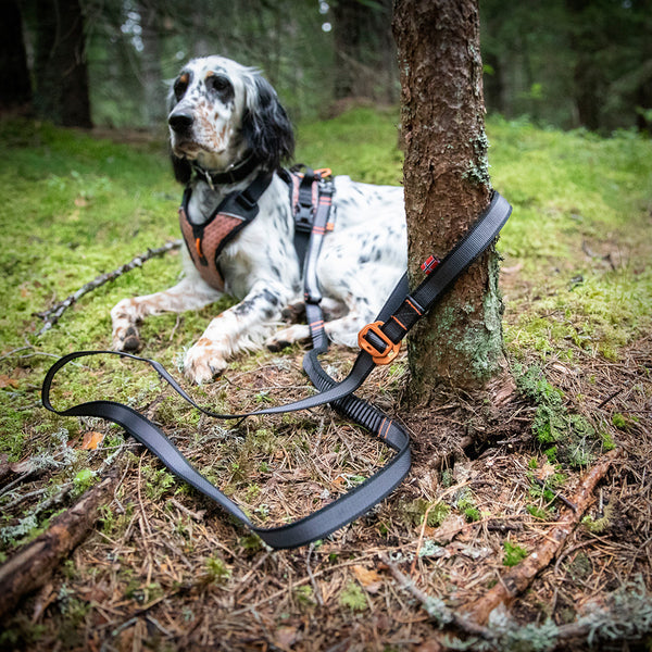 NON-STOP BUNGEE TOURING ADJUSTABLE