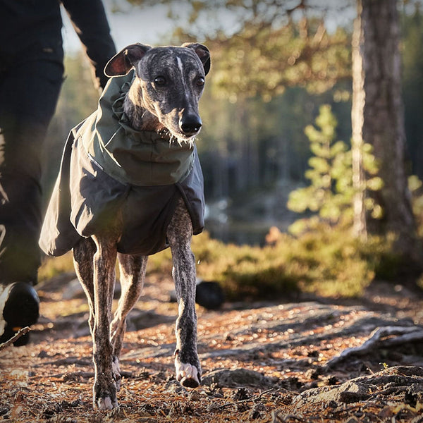 NON-STOP GLACIER WOOL JACKET 2.0