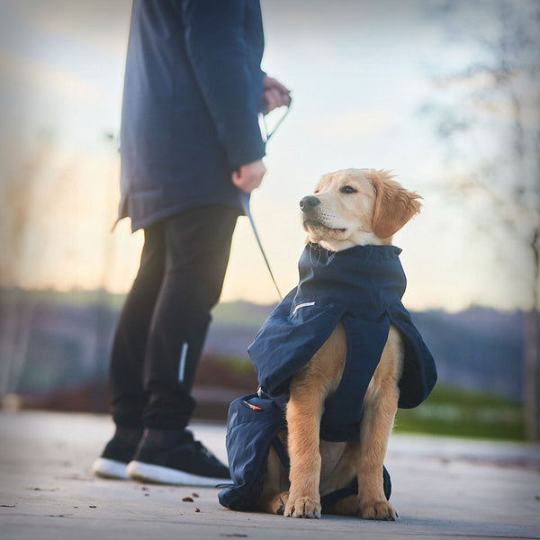 NON-STOP GLACIER WOOL JACKET 2.0