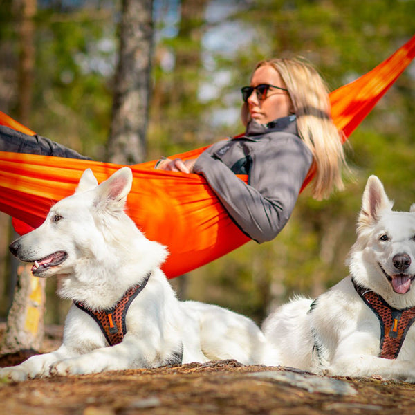 NON-STOP ROCK HARNESS