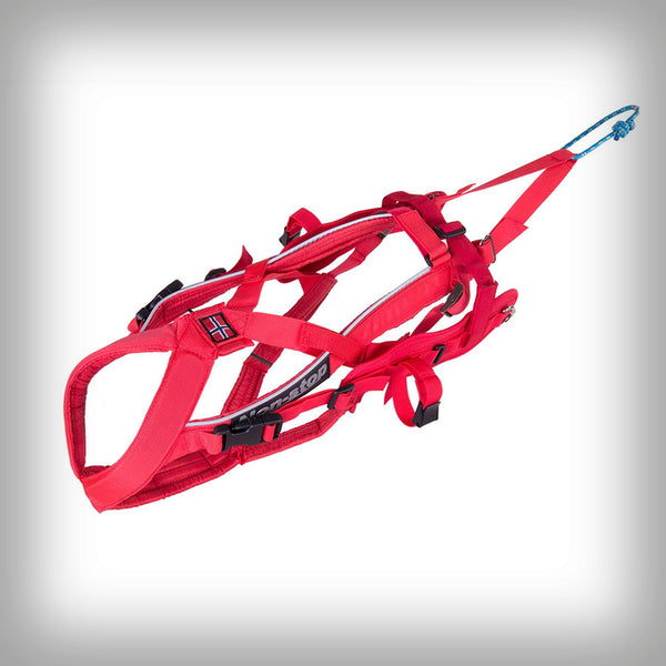 ZUGGESCHIRR COMBINED HARNESS