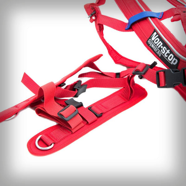 ZUGGESCHIRR COMBINED HARNESS