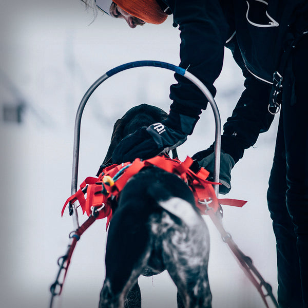 ZUGGESCHIRR COMBINED HARNESS