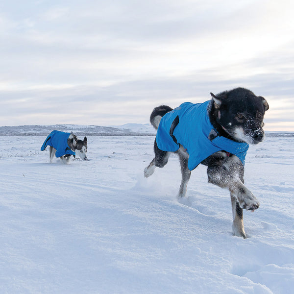 NON-STOP BLEST JACKET