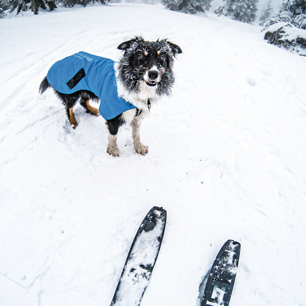 NON-STOP BLEST JACKET